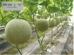 oԭжٷN